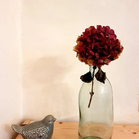 Vakantiehuis Les Du Chateau Du Rozel